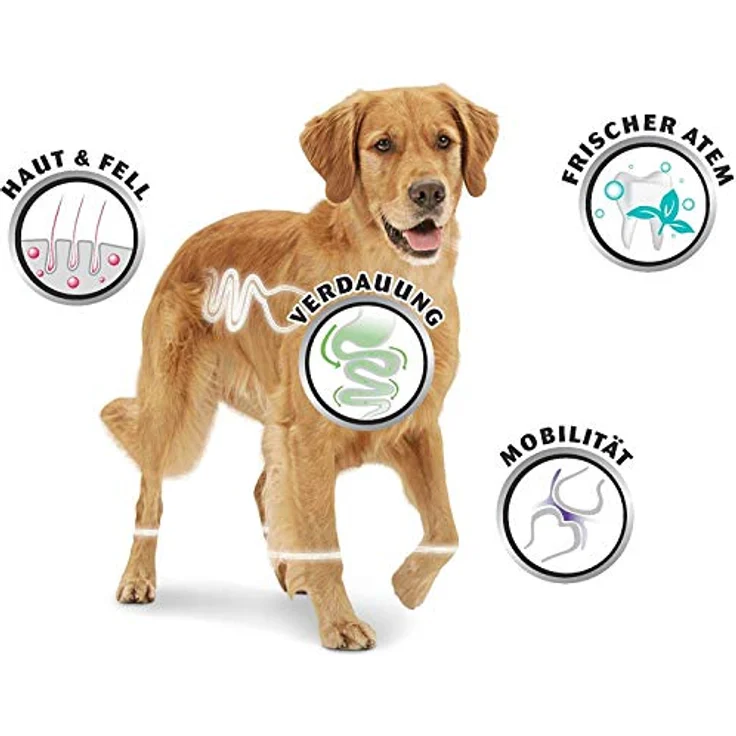 8in1 Fillets pro active Größe S, Hundesnack ohne Zucker mit Geflügel, 80 g – Bild 3