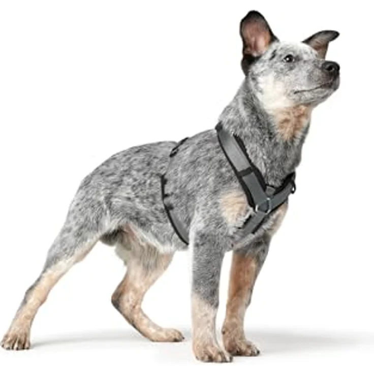 Hunter Norwegergeschirr Maldon Up, Komfortables und reflektierendes Hundegeschirr in Schwarz - Preisvergleich – Bild 9