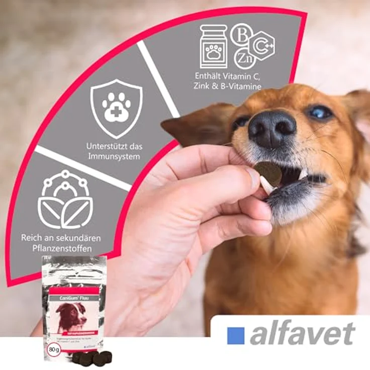 Alfavet CaniGum Fluu, Ergänzungsfuttermittel für Hunde zur Unterstützung der Abwehrkräfte, mit Kapuzinerkresse, Vitamin C, Zink und B-Vitaminen, 80g Beutel (ca. 40 Kaudrops) – Bild 2