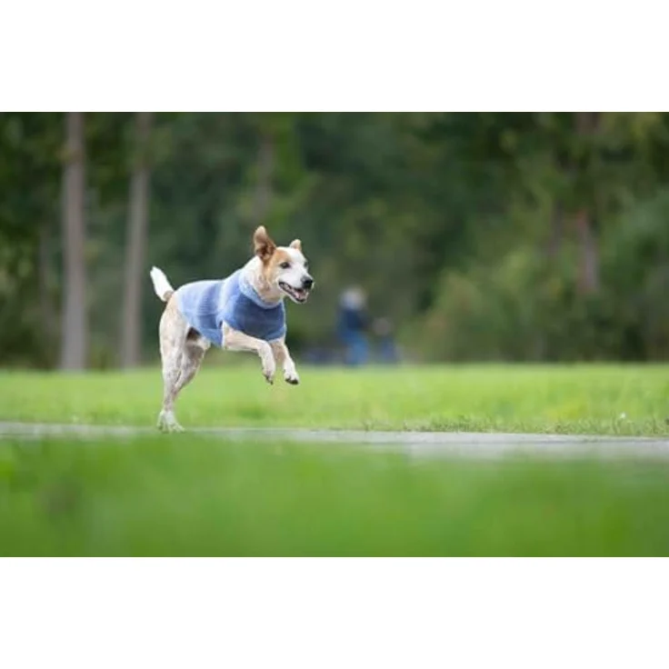 Wolters Strickpullover Sky, kuscheliger Hundepullover mit Farbverlauf, 20 cm – Bild 3