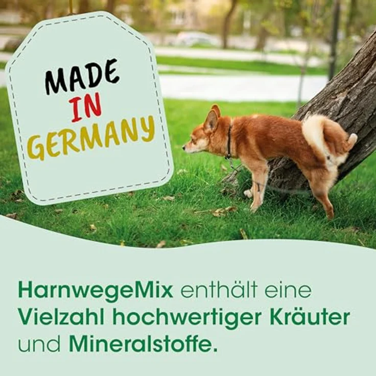 cdVet HarnwegeMix, Ergänzungsfuttermittel für Hunde und Katzen zur Unterstützung der Harnwege, 30 g Pulver – Bild 4