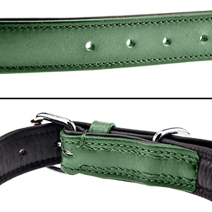 Schnüffelfreunde Lederhalsband für Hunde, gepolstert und robust, für große, mittlere und kleine Hunde, XL (46-55cm), grün – Bild 3