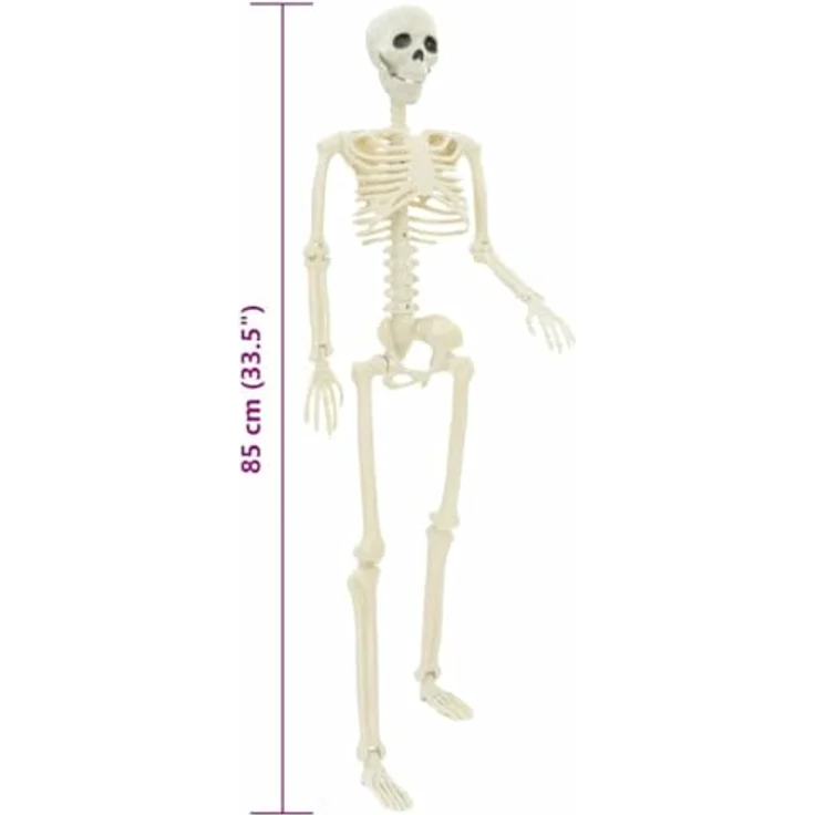 vidaXL Halloween-Skelett 2er Set, 85 cm, weiße robuste Deko-Figur für Innen- und Außenbereich, gotische Halloween-Deko für Partys und Saison-Dekor – Bild 3
