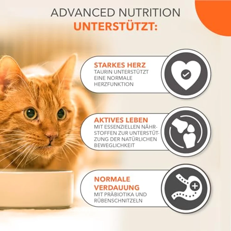 IAMS Senior Katzenfutter trocken mit Huhn, 3 kg für Katzen ab 11 Jahren, vollwertig und weizenfrei, unterstützt Gelenkgesundheit und Immunsystem – Bild 4