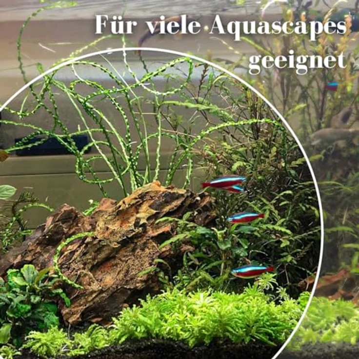 AquaOne Drachenstein, Naturstein für Aquascaping, 2-5 kg, Felsen Dekoration braun – Bild 5