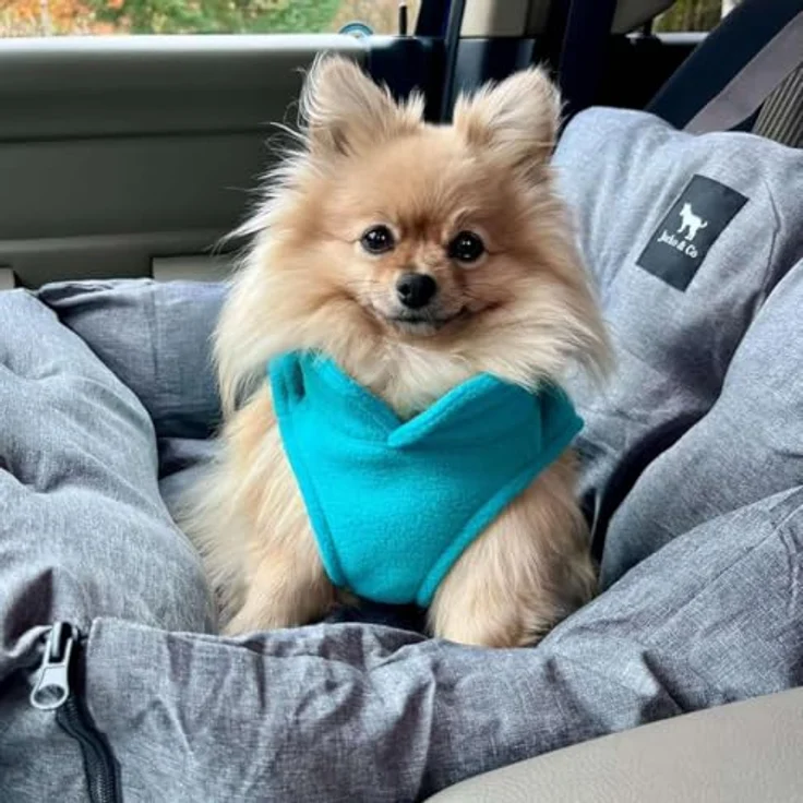 Jacko & Co Fleece-Weste mit Leinenring – weich, leicht, atmungsaktiv für kleine Hunde und Katzen, türkis, Größe XS (0,9-1,8 kg) – Bild 5
