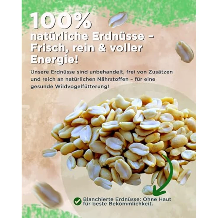Futterbauer Erdnüsse blanchiert, 10 kg weiße & schalenlose Erdnusskerne für Wildvögel & Eichhörnchen, hochwertiges Vogelfutter, Ambrosia kontrolliert – Bild 2