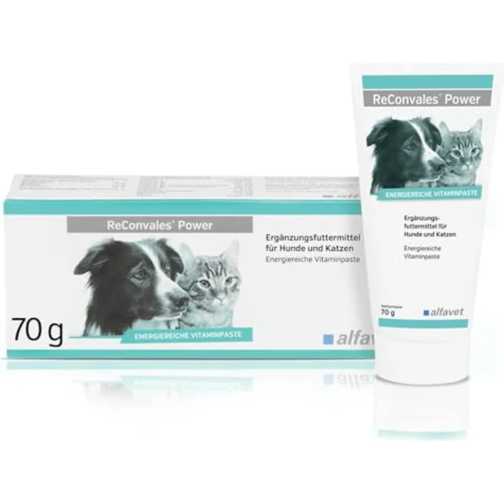 Alfavet ReConvales Power, Diät-Ergänzungsfuttermittel für Hunde und Katzen, hochkalorische Päppelpaste bei Untergewicht, Tube 70 g