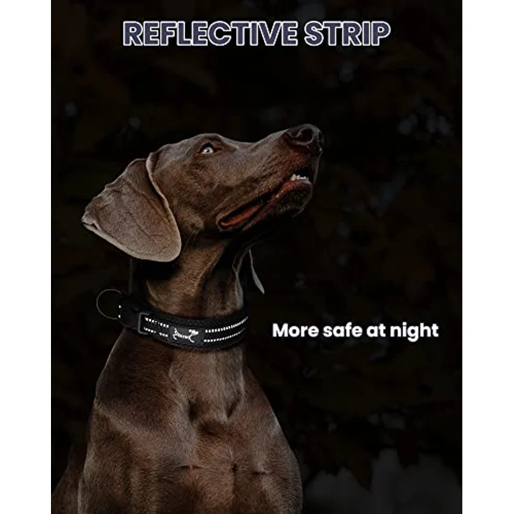 PETTOM Hundehalsband, Verstellbares Nylonhalsband mit gepolstertem Mesh, Atmungsaktiv und Reflektierend, Schwarz XS – Bild 5