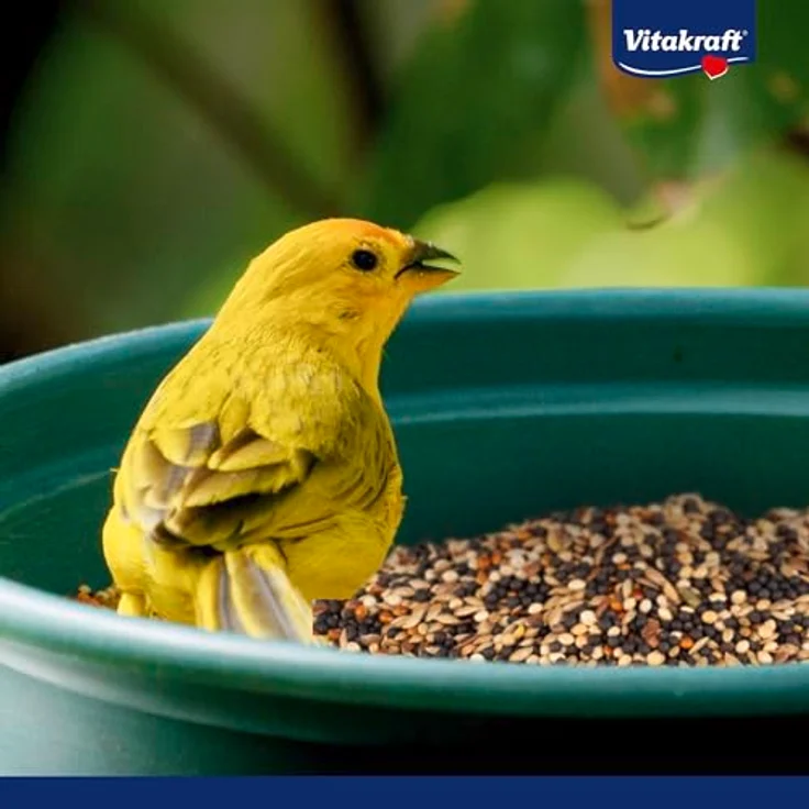 Vitakraft Kanarien Perle, Vogelfutter mit Vitaminen und Mineralien, ohne Zuckerzusatz, 1kg – Bild 5