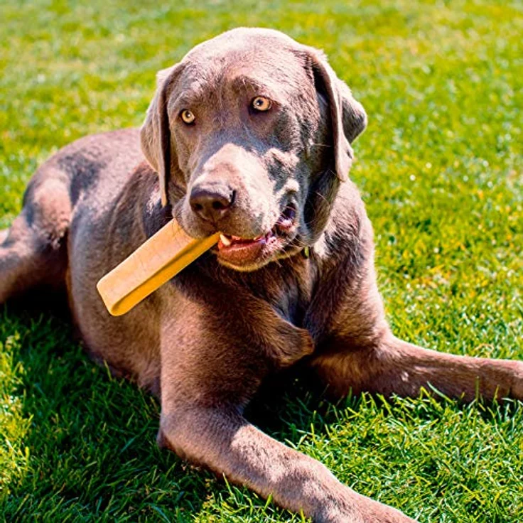 Yaky Larsson Kaukäse für Hunde - Größe L, 80-100g, 100% natürlich, glutenfrei, leicht verdaulich, Zahnpflegesnack – Bild 4