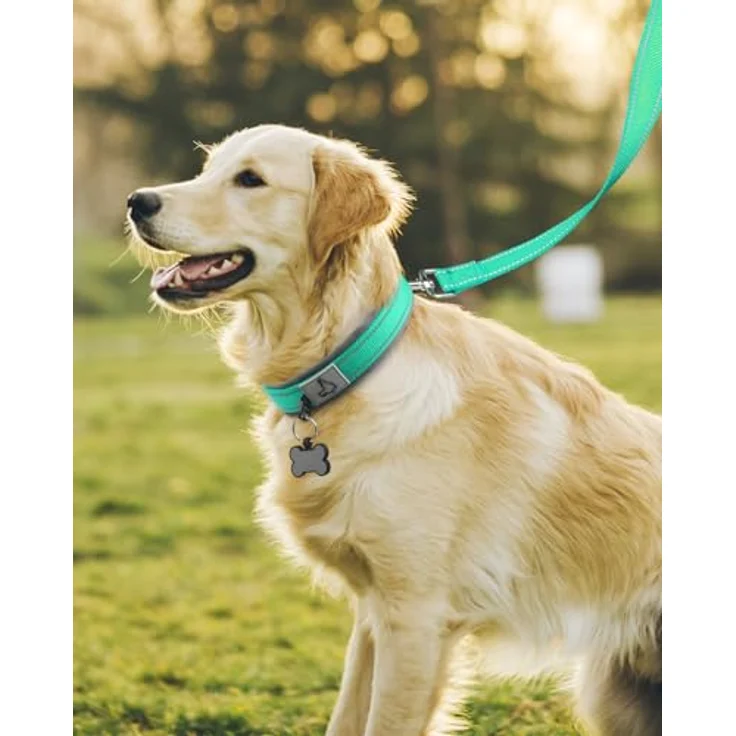 Joytale Gepolstertes Hundehalsband aus Neopren, Reflektierend und Robust für große Hunde, Türkis – Bild 3