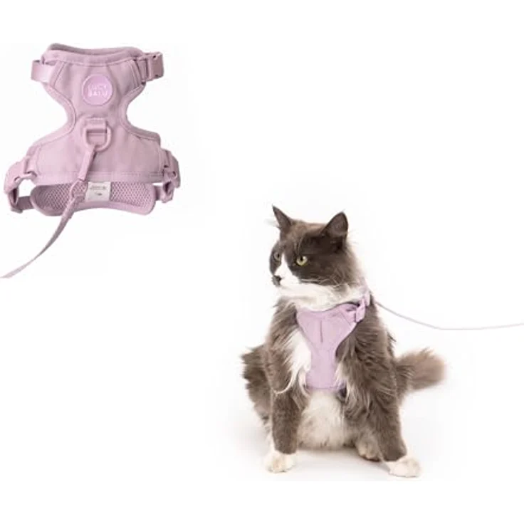 LucyBalu® Explorer Katzengeschirr mit Leine, ausbruchsicheres Sicherheitsgeschirr mit AirTag Fach, lila, Größe XS/S – Bild 1