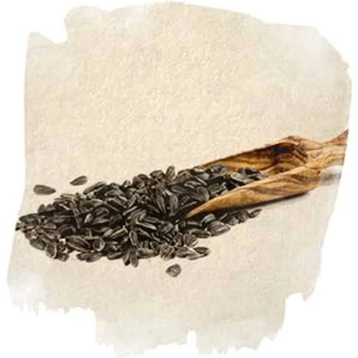 vogelfood Sonnenblumenkerne schwarz 25 kg, erstklassiges Wildvogelfutter mit hohem Nährstoffgehalt und Energiebooster für Wildvögel – Bild 4