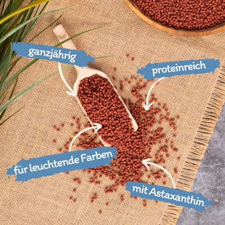 Lyra Pond® 2 x 10 L (7,4 kg) Pond Colour Astax Koi Pellets, proteinreiches Fischfutter mit Astaxanthin für kräftige Farben – Bild 2