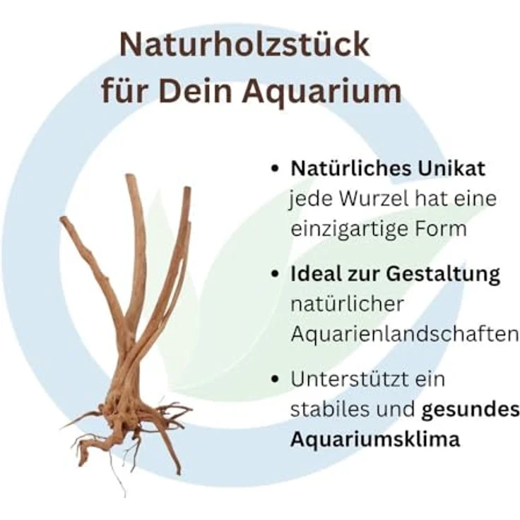 Aquaone Stump Wurzel M, Aquarium-Wurzel 60-80 cm für Aquascaping, naturbelassen – Bild 3