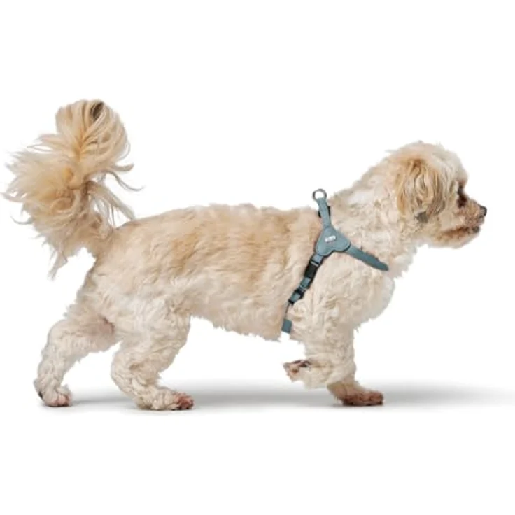 HUNTER Hundegeschirr SOHO MINI, hellblau, aus weichem Rindsleder, fellschonend, leicht, für kleine Hunde & Welpen, Größe XS-S, Made in Germany – Bild 5