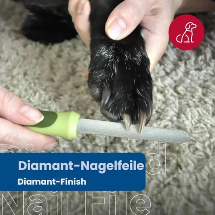Coastal Pet Products DCPW6112, Safari-Diamant-Krallenfeile aus Edelstahl, für sanfte und präzise Krallenpflege – Bild 3