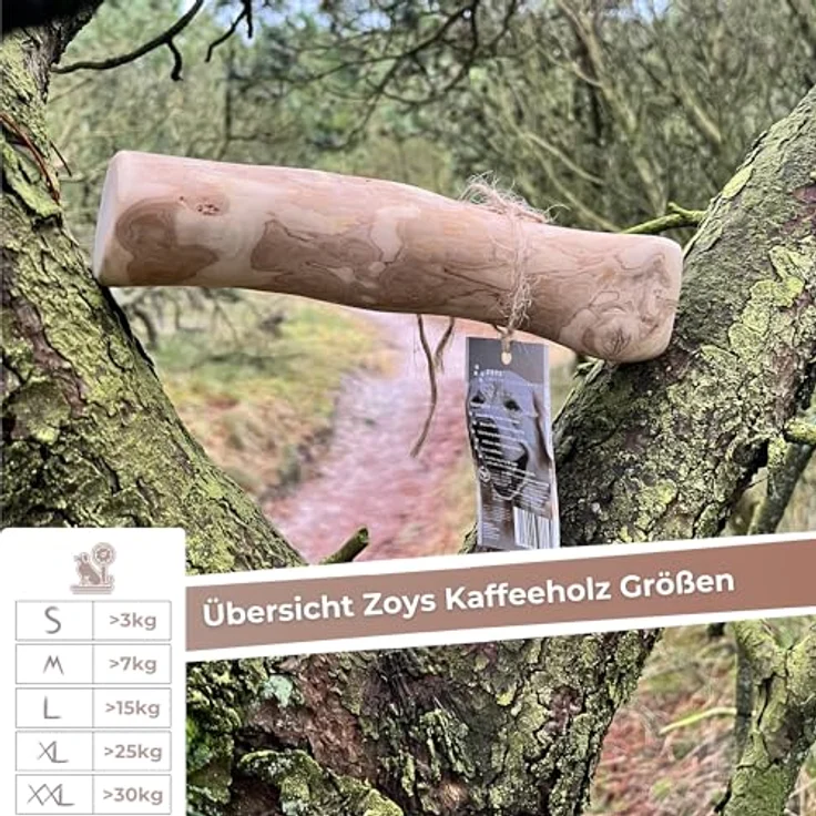 ZOYS Kaffeeholz für Hunde, Natürlicher Kauknochen für Zahnreinigung & Zahngesundheit, langlebig & risikoarm, Größe XXL, 1 Stück – Bild 5