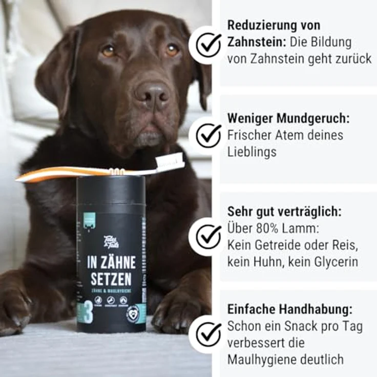 Tales & Tails In Zähne setzen Zahnpflege-Snack für Hunde, getreidefrei, allergikergeeignet, 325g Dose – Bild 3