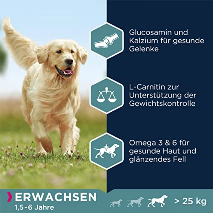 Eukanuba Hundefutter Lamm & Reis für große Rassen, Trockenfutter für ausgewachsene Hunde, 12 kg, mit DentaDefense und Glucosamin – Bild 4