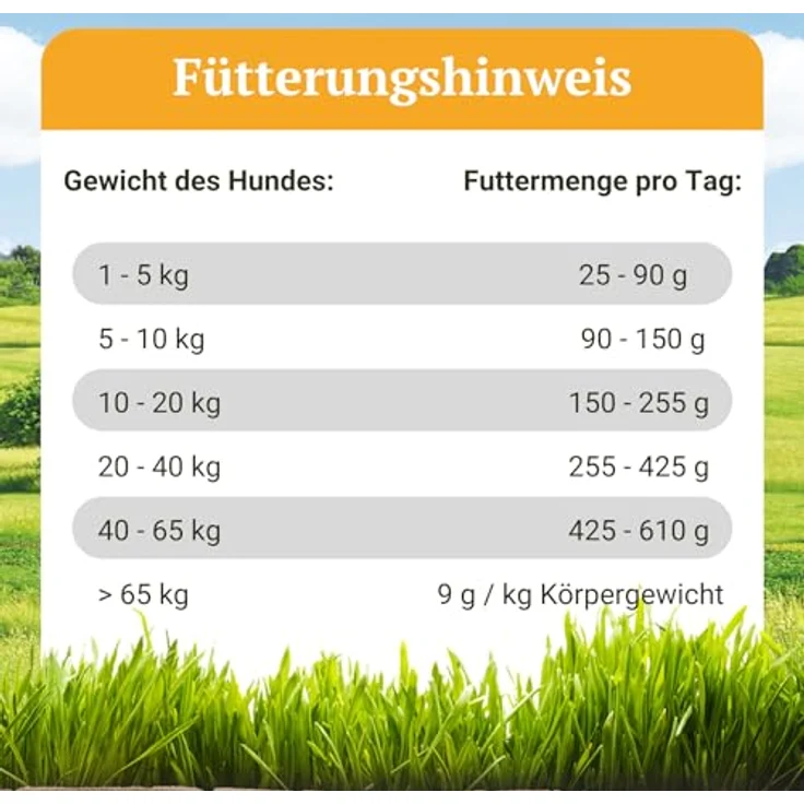 Bellfor Weideland-Schmaus, Getreidefreies Hundetrockenfutter mit Lamm, hohe Verdaulichkeit, 10 kg – Bild 5