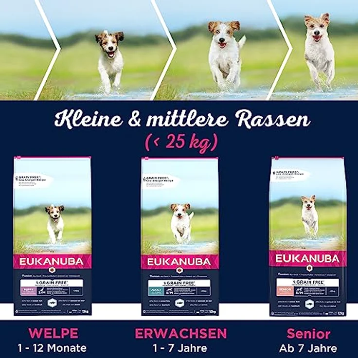 Eukanuba Welpenfutter getreidefrei mit Fisch für kleine und mittelgroße Rassen, 12 kg - Trockenfutter ohne Getreide für Junior Hunde, reich an Seefisch und Lachs, unterstützt gesundes Wachstum und Lernfähigkeit – Bild 5