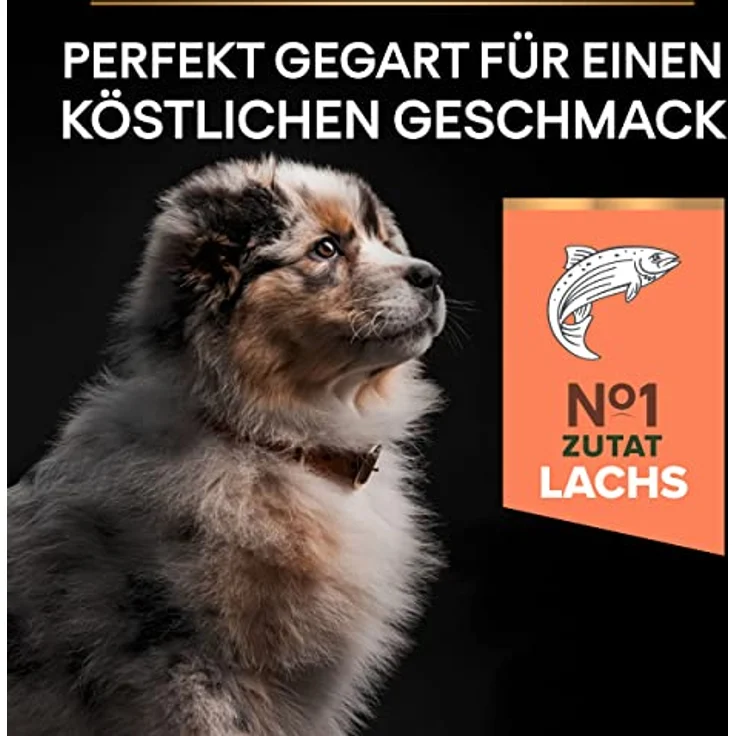 Pro Plan PRO PLAN Puppy Medium Sensitive Skin Hundefutter, 12 kg, mit Lachs für gesunde Haut und schönes Fell – Bild 6