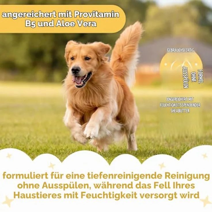 Buddycare Trockenshampoo für Hunde (200 ml) | Vanille & Sheabutter – Wasserloses Shampoo für empfindliche Haut, sanfte Formel für frisches Fell – Bild 3