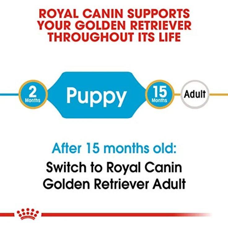 Royal Canin Golden Retriever Junior, Trockenfutter für heranwachsende Hunde, 12 kg – Bild 3