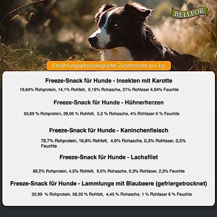 Bellfor Gefriergetrocknete Freeze-Snacks für Hunde, 250 g, kohlenhydratarm, ohne künstliche Zusatzstoffe, hohe Verträglichkeit, ideal für Hundetraining – Bild 2