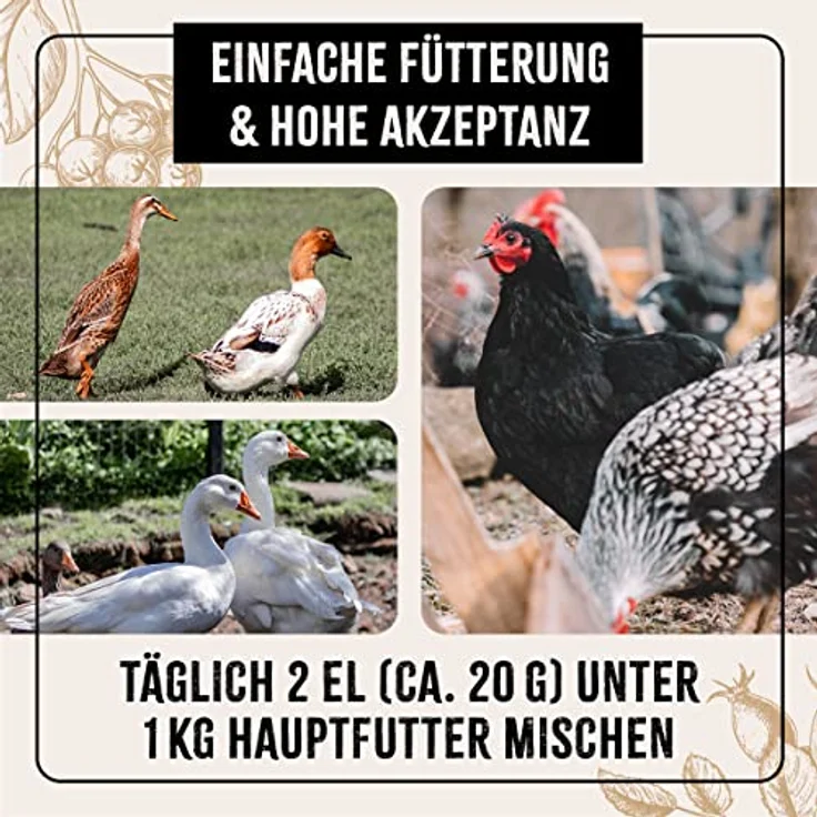 AniForte FarmLife Vital Mix für Geflügel 500 g – Naturprodukt mit Hagebutte, Aroniabeere & Spirulina zur Nährstoffversorgung für Hühner, Wachteln, Gänse & Enten – Bild 5
