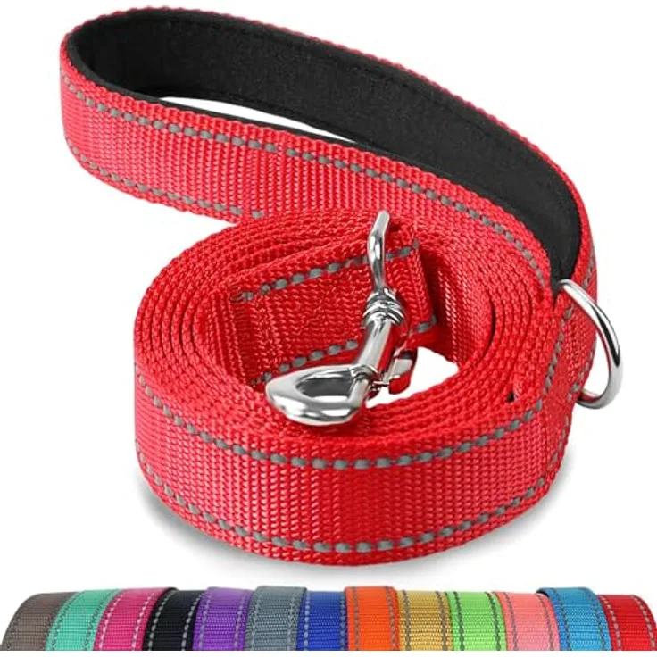 Joytale Hundeleine für Große und Mittelgroße Hunde, Doppelseitig Reflektierende Nylonleine mit Gepolstertem Griff, 1,8m x 2,5cm, Rot