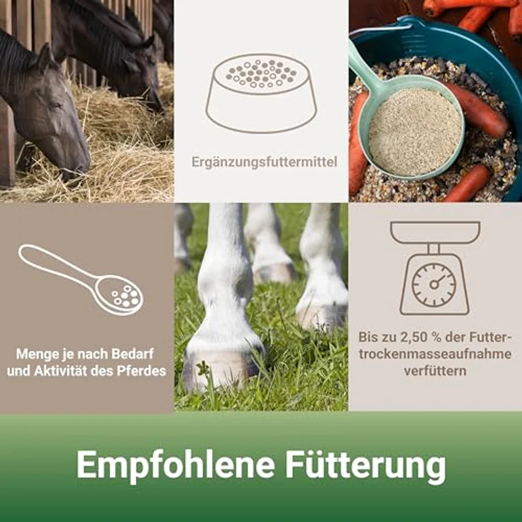 PANTO Pferdemineral P85, 25 kg Mineralfutter für Pferde, reich an Vitaminen, Mineralien und Omega-3-Fettsäuren, 3mm Pellets – Bild 4