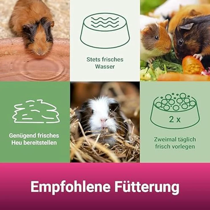 PANTO® Meerschweinchenfutter VPE 4 x 2,5 kg, hochwertige Getreidepellets mit Vitaminen und Mineralstoffen – Bild 4