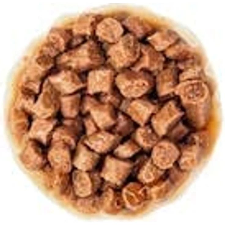 ROYAL CANIN Kitten Nassfutter, feine Stückchen in Soße, 4er Pack (4 x 12 x 85 g), Alleinfuttermittel für Katzenwelpen bis 12 Monate, unterstützt Gehirnentwicklung und Abwehrkräfte – Bild 5