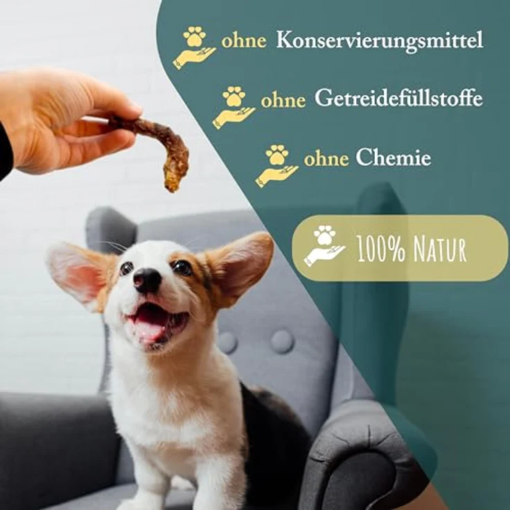 WuffSnacks Hühnerhälse getrocknet, 10 kg für Hunde, fettarm und proteinreich, natürlicher Kauartikel zur Zahnpflege, Gelenkunterstützung mit Chondroitin – Bild 4