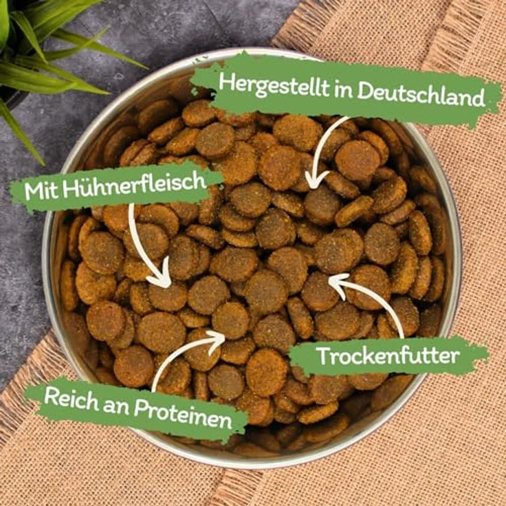 Lyra Pet Lecker.Pet® Gino's Adult mit Huhn, 12 kg, glutenfreies Trockenfutter für ausgewachsene Hunde, getreidefreie Rezeptur, hochwertige Vollnahrung – Bild 2