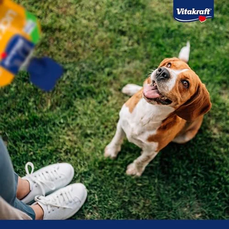Vitakraft LickundSnack Train Leberwurst 60g, kalorienarmer Hundesnack im Quetschie-Format mit Lecithin, Biotin und Taurin для Training – Bild 6