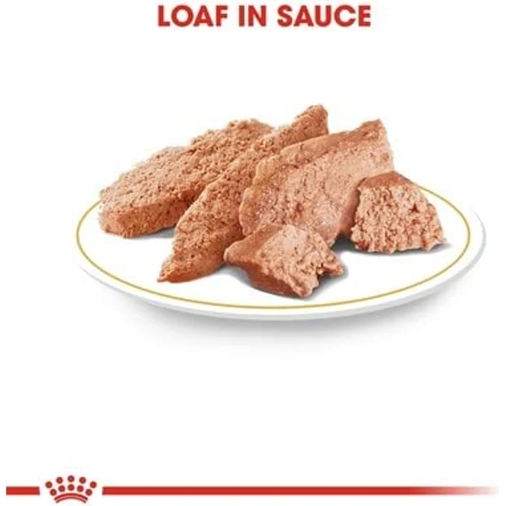 Royal Canin Chihuahua Adult, Nassfutter für ausgewachsene Chihuahuas, 12 x 85 g, unterstützt Stuhlqualität und Zahngesundheit, hohe Akzeptanz – Bild 3
