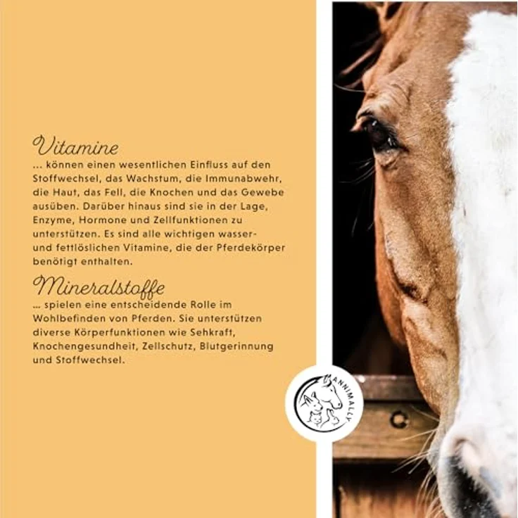 Annimally Senior Mineralfutter Pferde getreidefrei, Ergänzungsfutter mit Vitaminen, Mineralstoffen und Spurenelementen für Senior Pferde, 3 kg Eimer – Bild 5