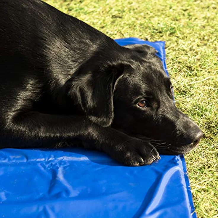 Navaris Hundematratze Kühlmatte für Hunde/Katzen, selbstkühlendes Kühlkissen Pad, 40x50cm, blau – Bild 3