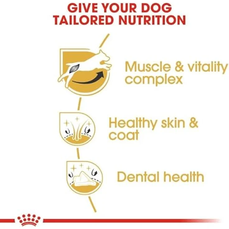 Royal Canin Jack Russell Terrier Adult, Trockenfutter für Hunde, 3kg, speziell für Jack Russell Terrier – Bild 6