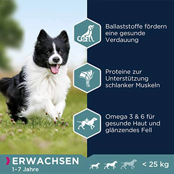 Eukanuba Hundefutter mit Lamm & Reis, Trockenfutter für kleine und mittelgroße Rassen, 2,5 kg – Unterstützt gesunde Haut, glänzendes Fell und optimale Verdauung – Bild 3