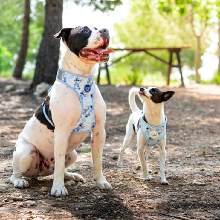 Cerda Geschirr Lilo & Stitch XXS / XS, Verstellbares und leichtes Hundegeschirr aus 100 % Polyester für kleine Hunde – Bild 8