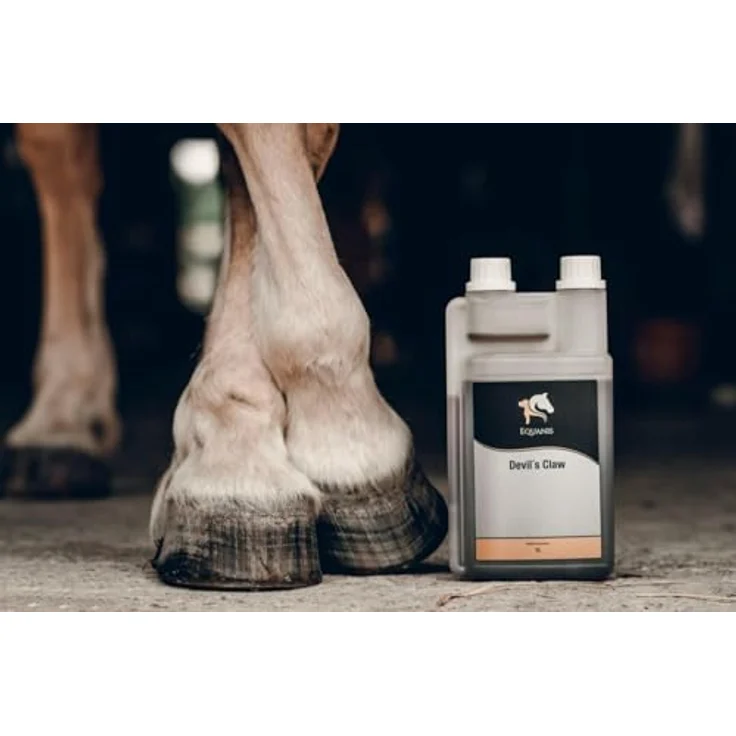 Equanis Devil´s Claw, Flüssige Teufelskralle für Pferde, 1 l, unterstützt Gelenkprobleme und entzündungshemmende Prozesse – Bild 5