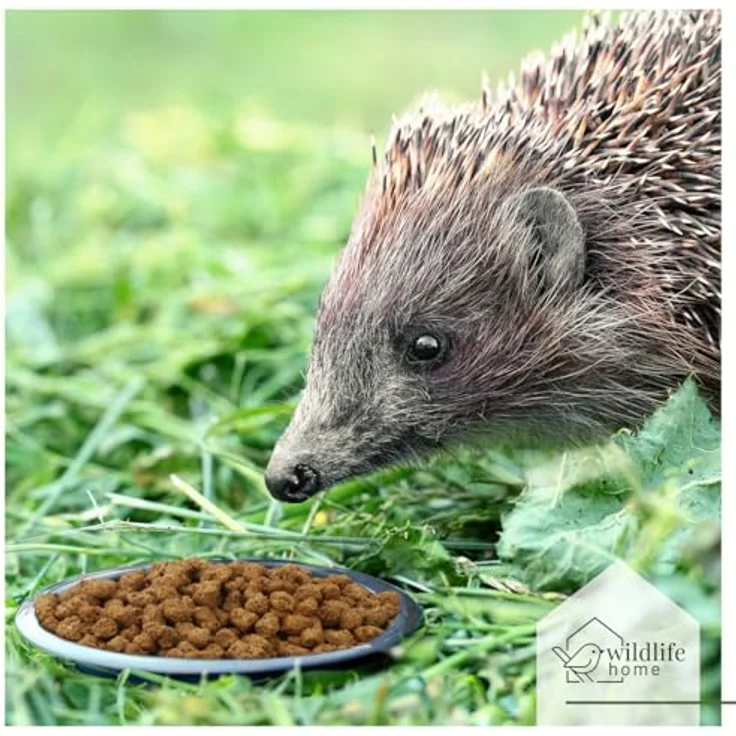WILDLIFE HOME Igelfutter, Getreidefreies Trockenfutter mit Insektenprotein, 1kg, von Igelhilfen empfohlen – Bild 3