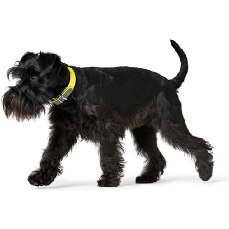 Hunter Hunde-Halsband Convenience neon-gelb S – Bild 4