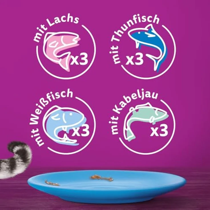Whiskas Multipack 1+ Fisch Auswahl in Gelee, Katzenfutter, 12 x 85g – Bild 7