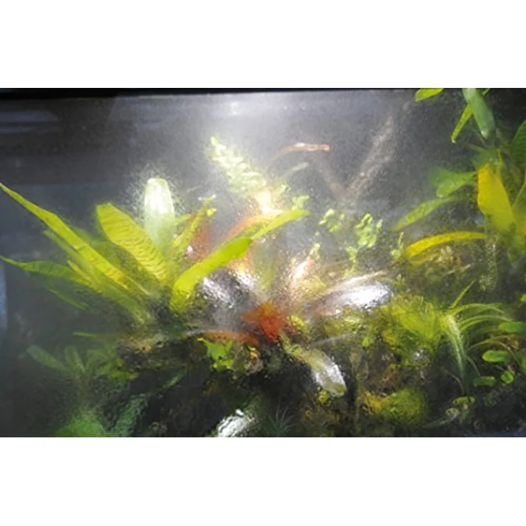 Lucky Reptile Terra Fan Terrarienlüfter-Set, temperaturgesteuertes System mit 2 Mini-Ventilatoren für ideale Luftzirkulation – Bild 5